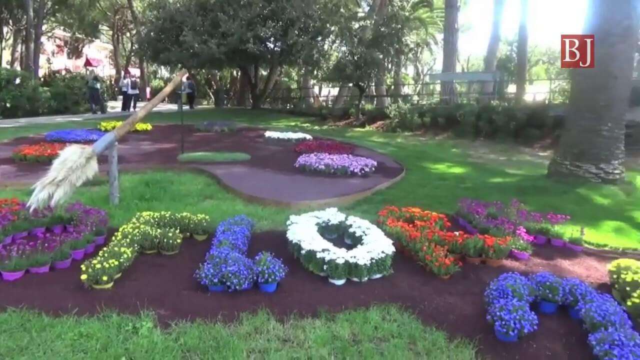 66580