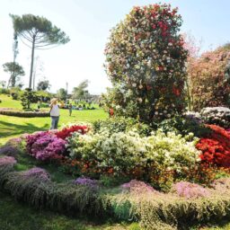 Euroflora