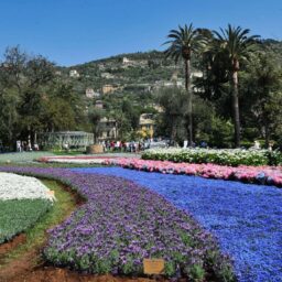 Euroflora