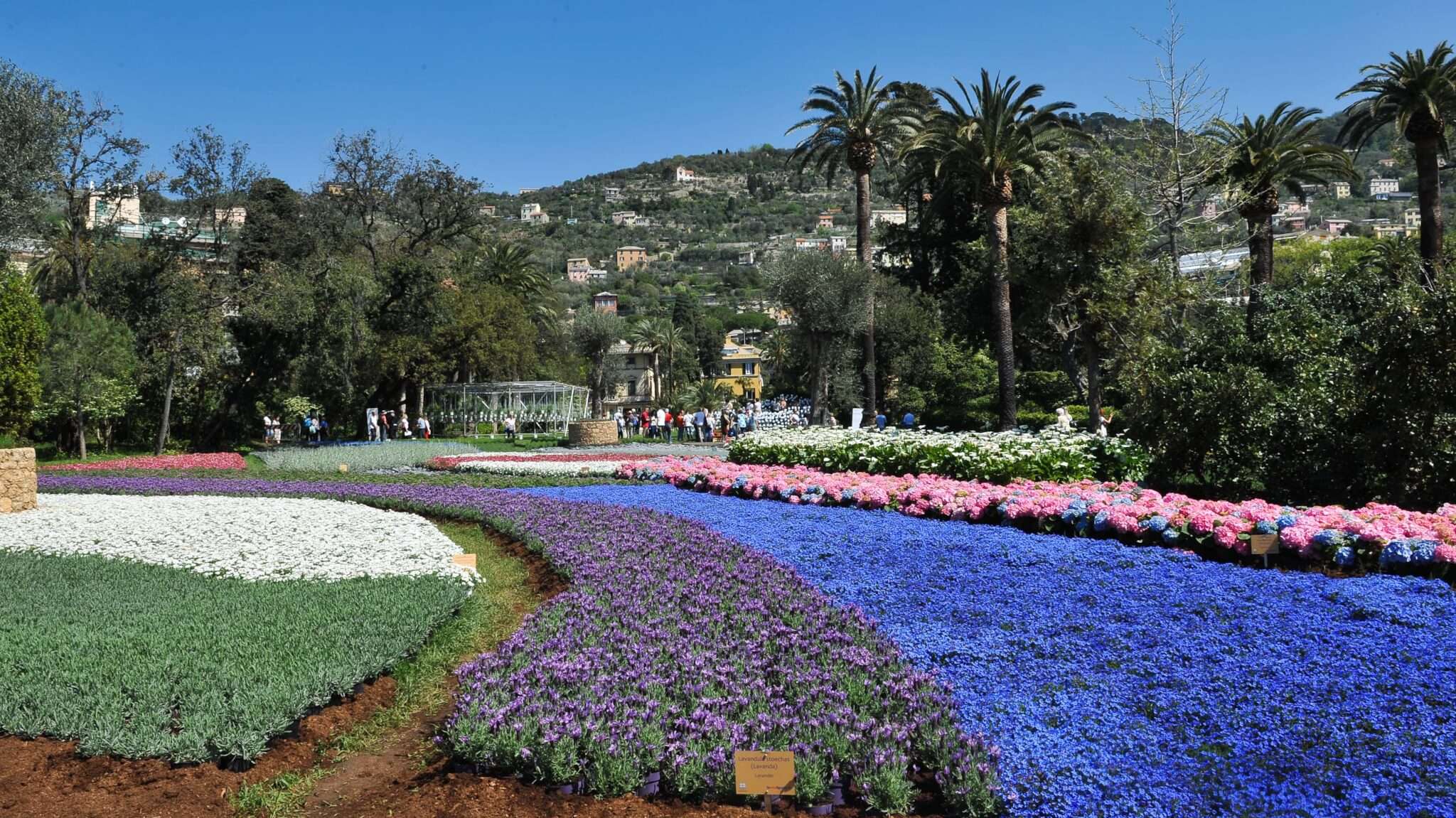 Euroflora