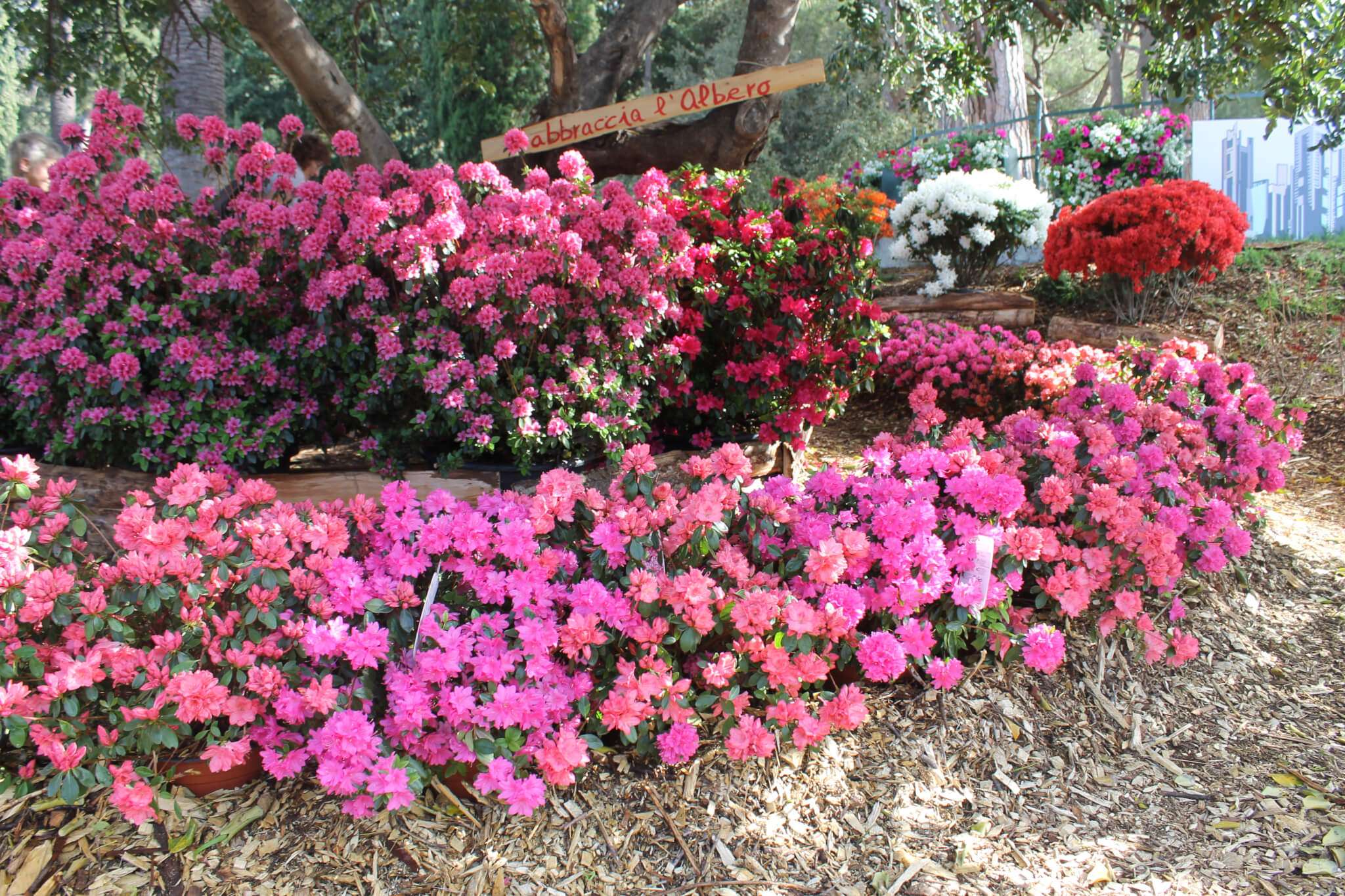 euroflora