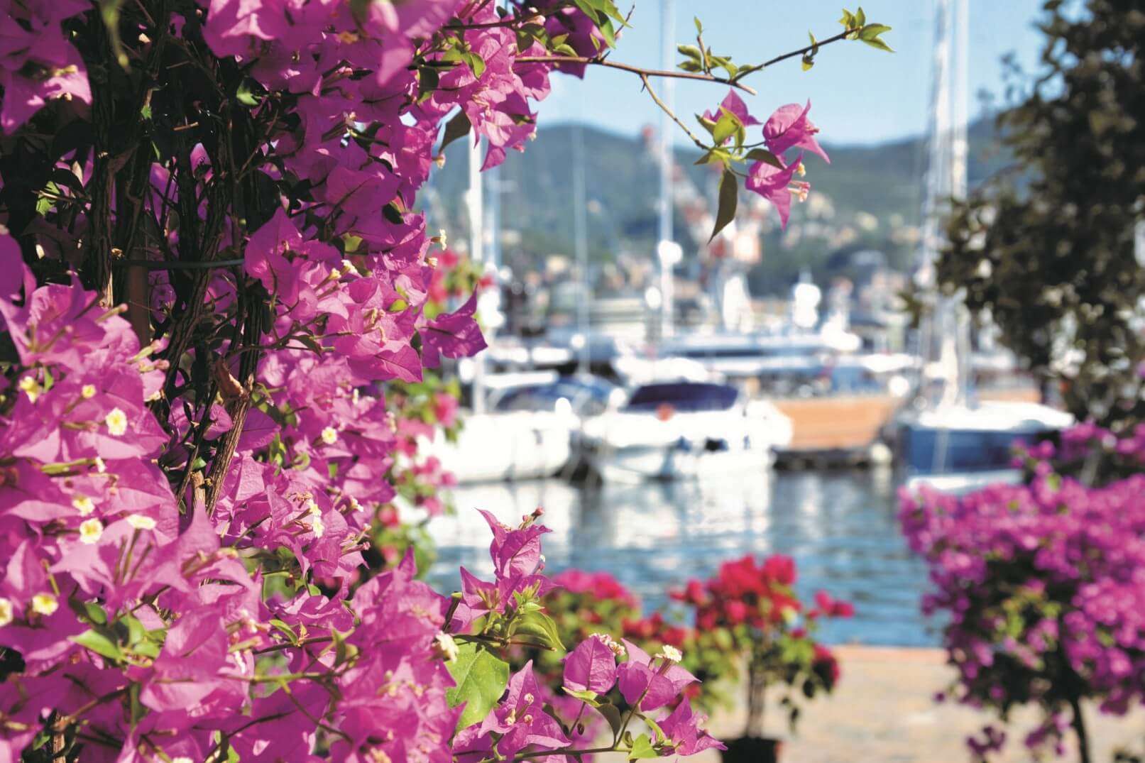 Yacht & Garden 2016_low