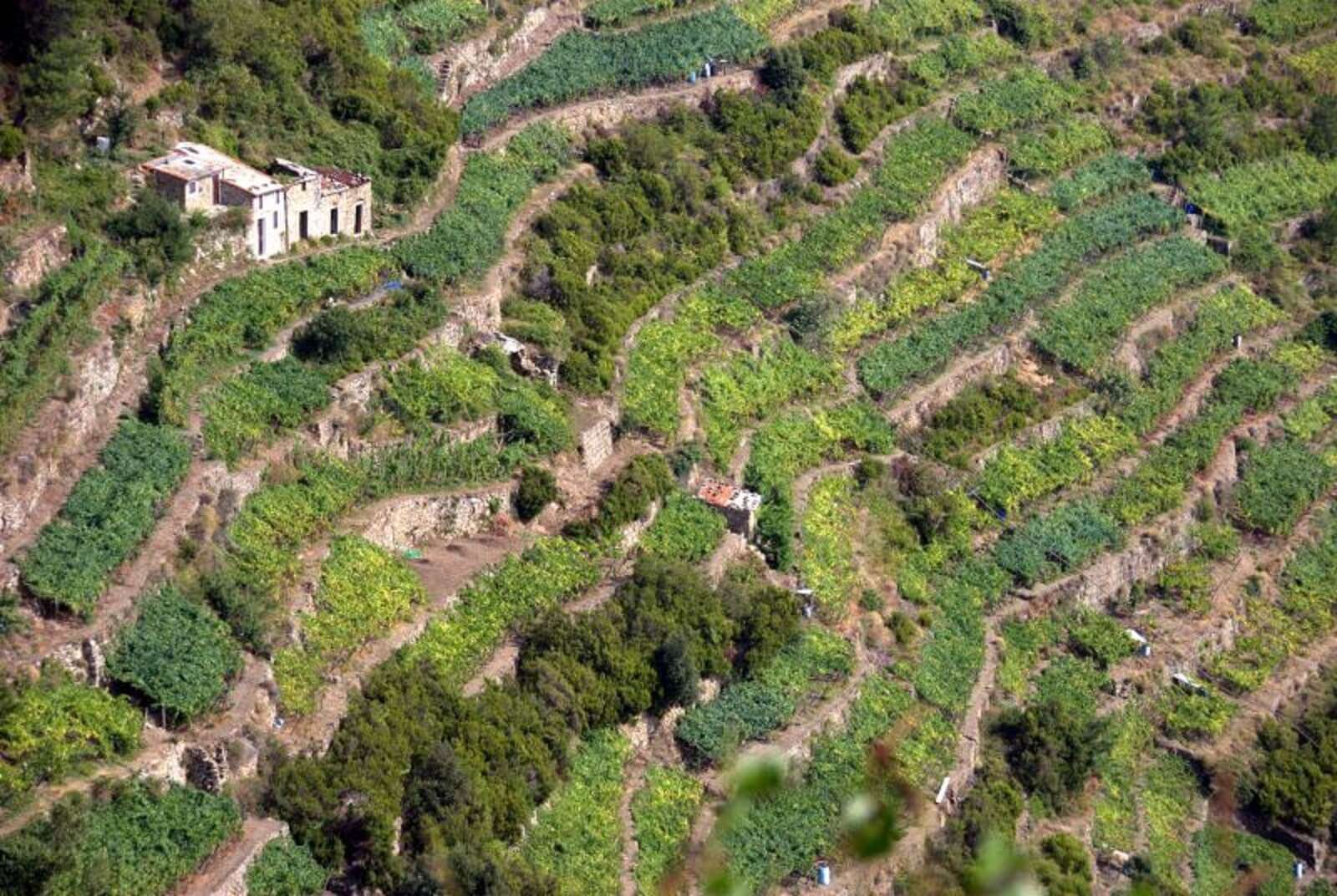 cinque terre
