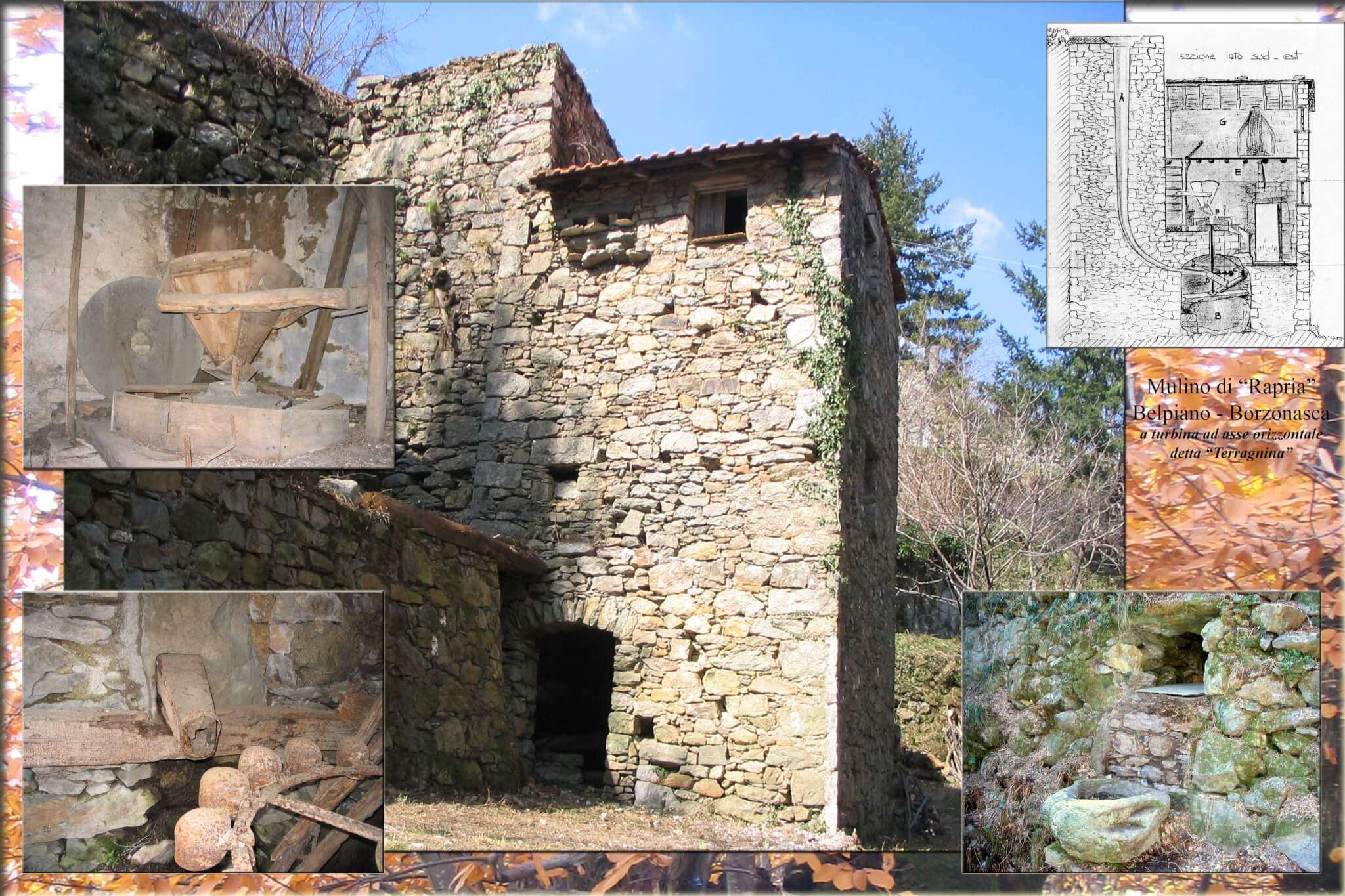 collage-Mulino