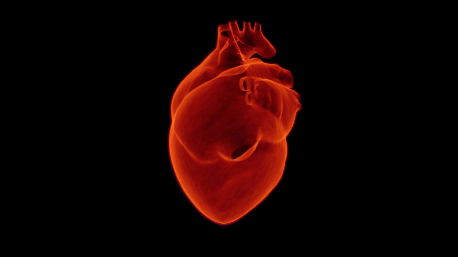 cuore cardiologia