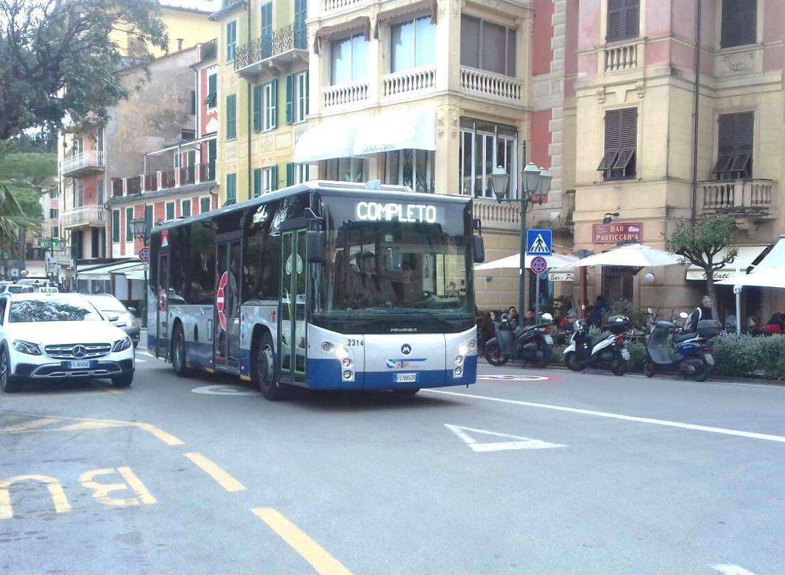 Linea82 atp