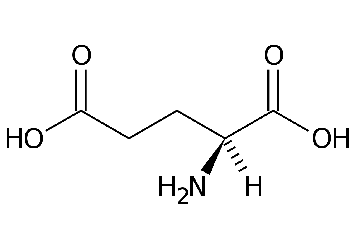 acido glutammico