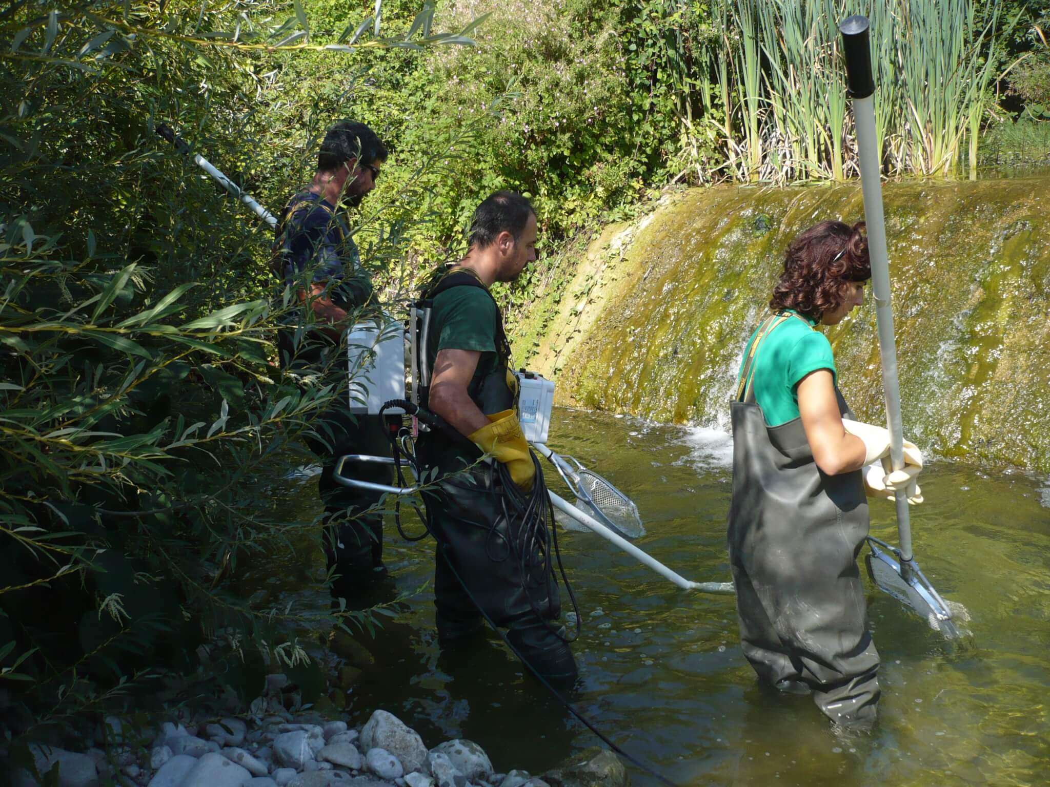 monitoraggio fauna acquatica