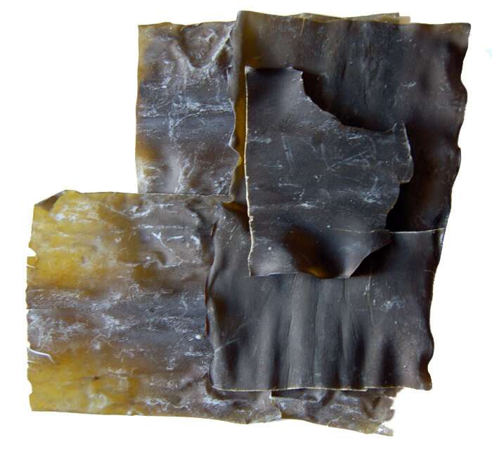 kombu essiccata