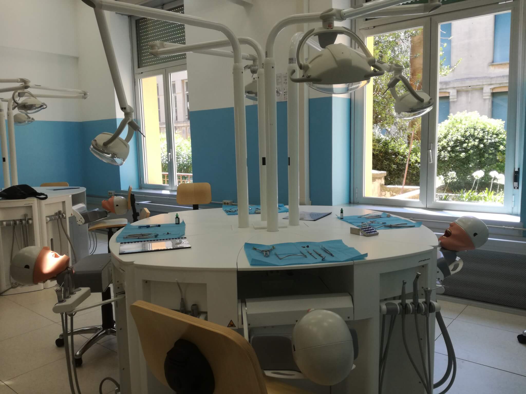 manichini unige odontoiatri