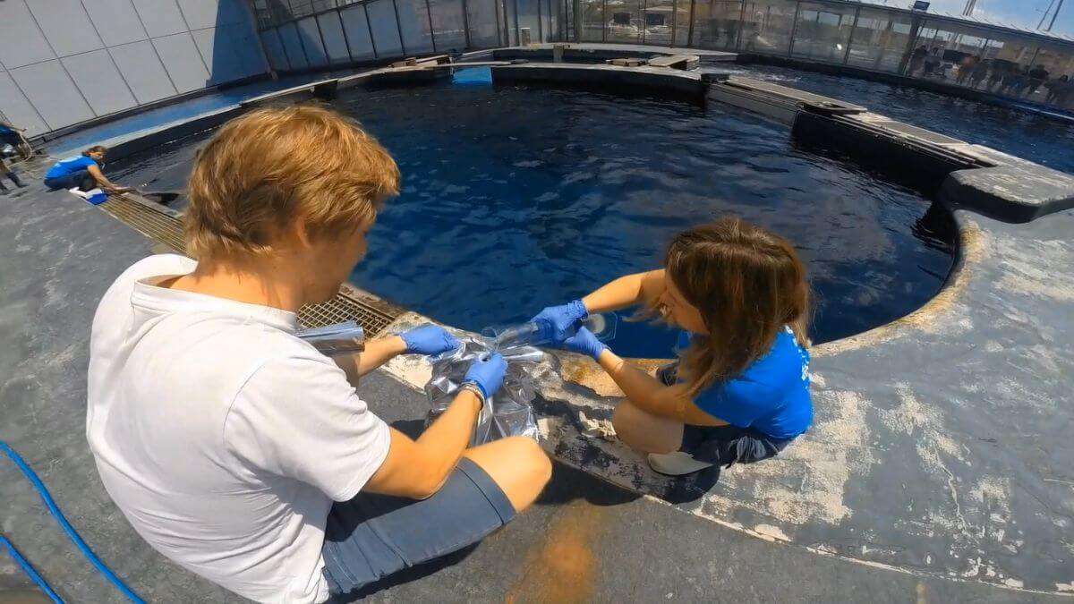 prelievo campione acqua vasca delfini Acquario di Genova ridotta