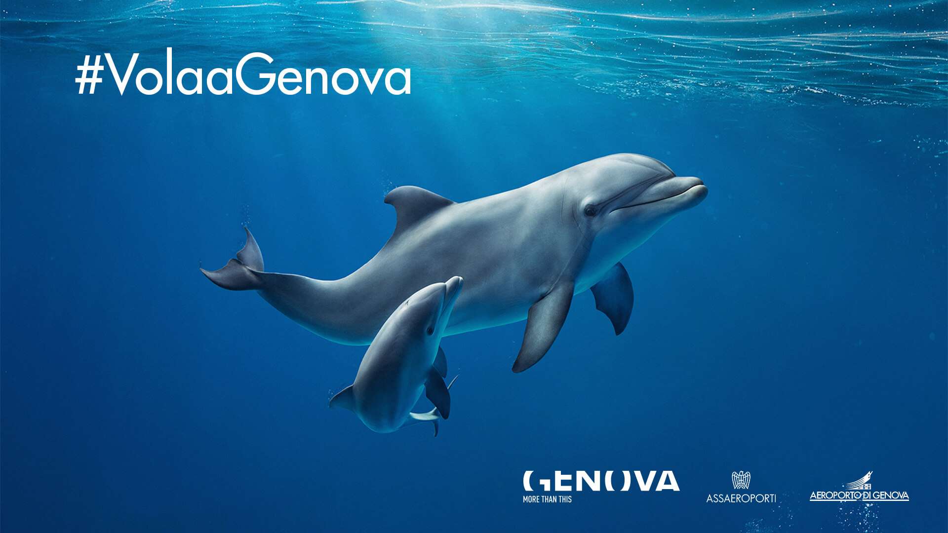 Acquario di Genova 1 ITA
