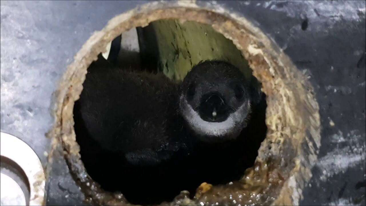 72515