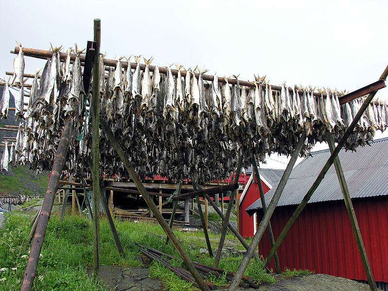 stoccafisso lofoten