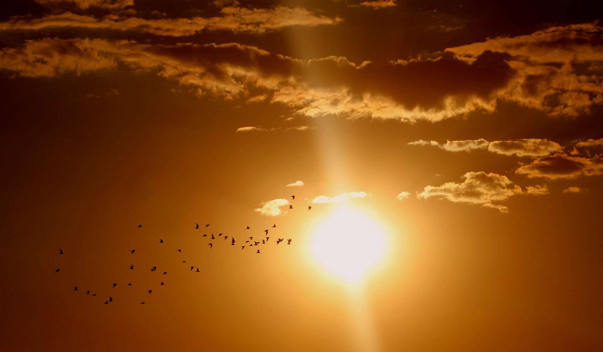 sole tramonto caldo afa