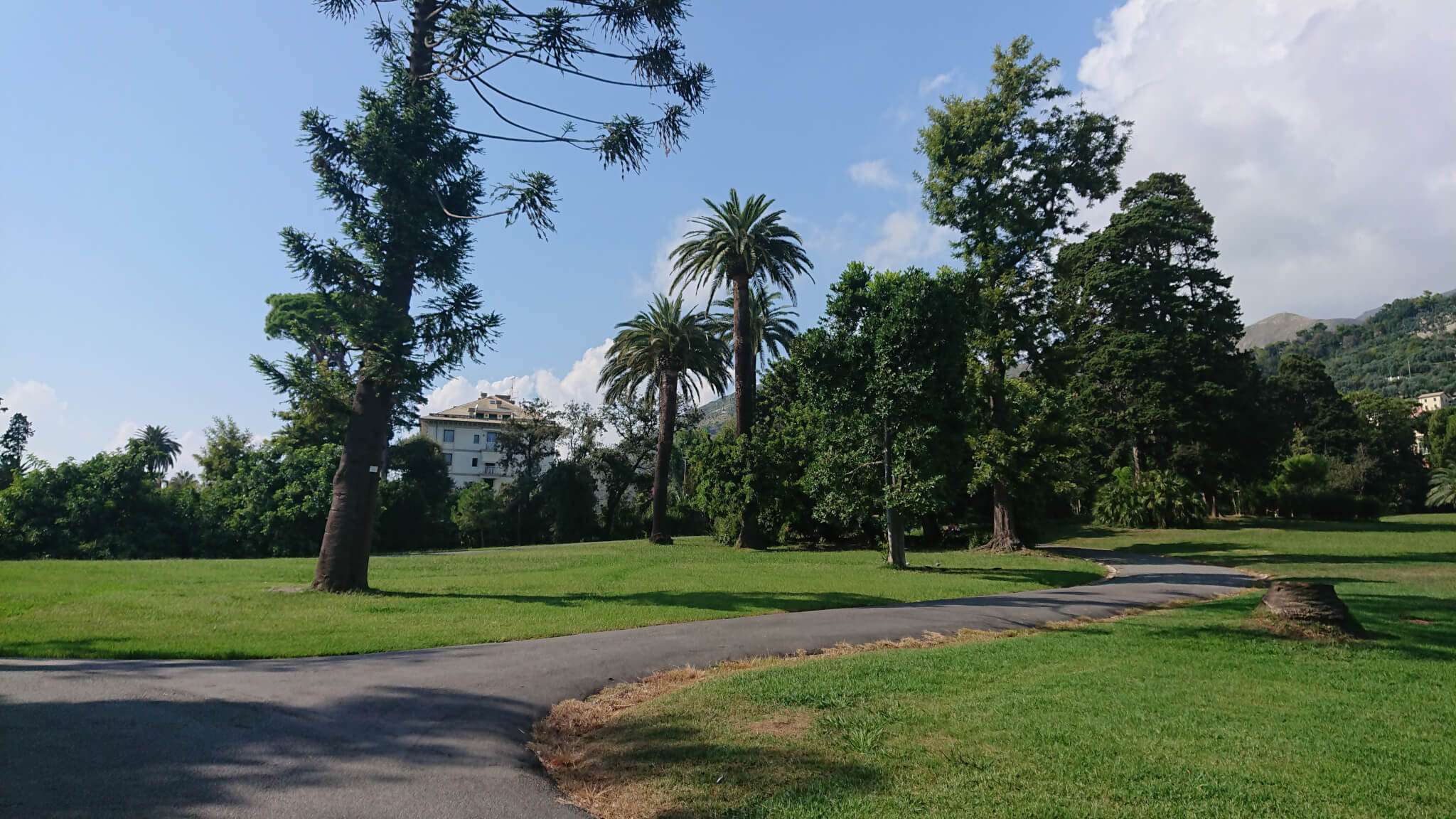 parchi di nervi