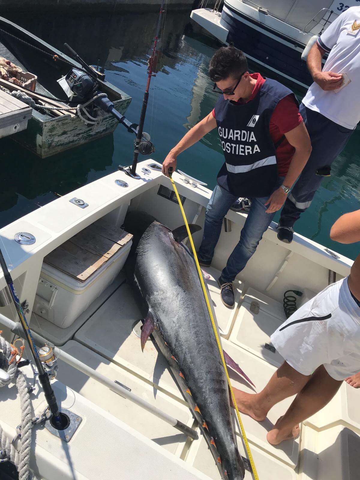 tonno rosso pesca