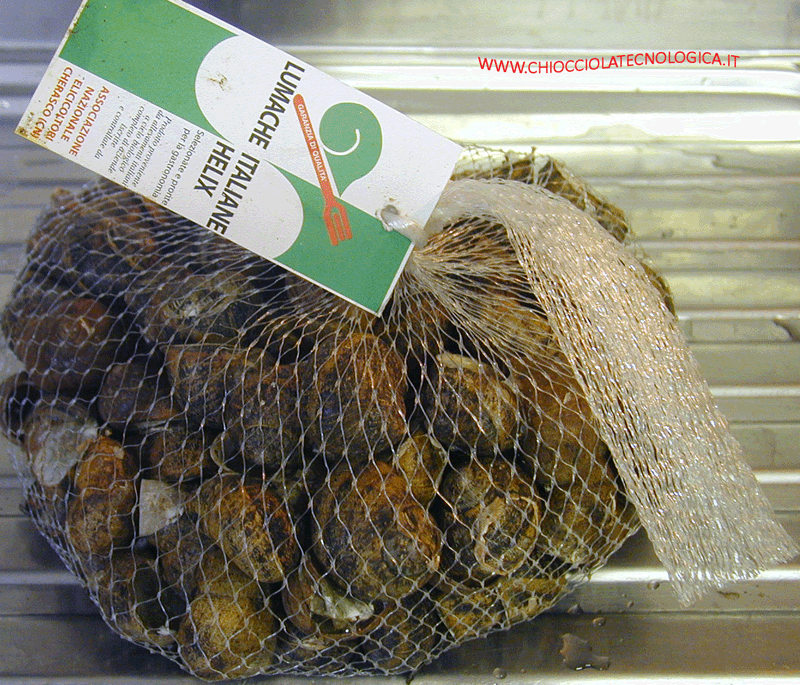 lumache cherasco