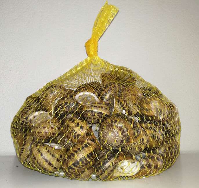 lumache in sacchetto
