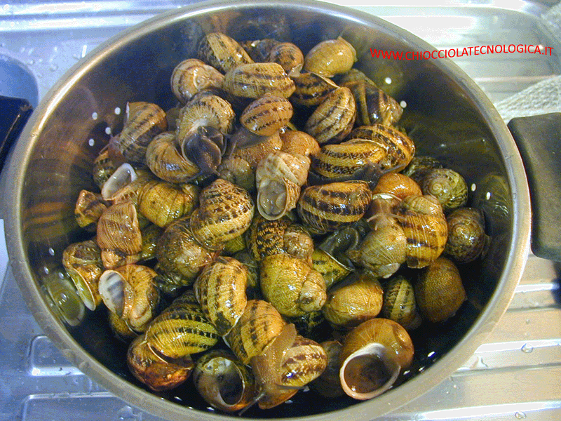 lumache lavate