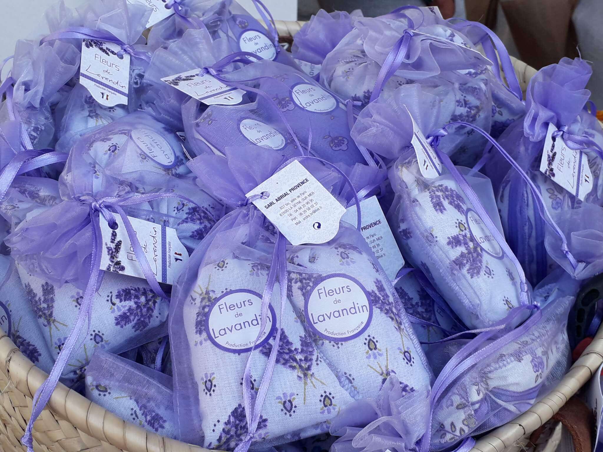 lavanda