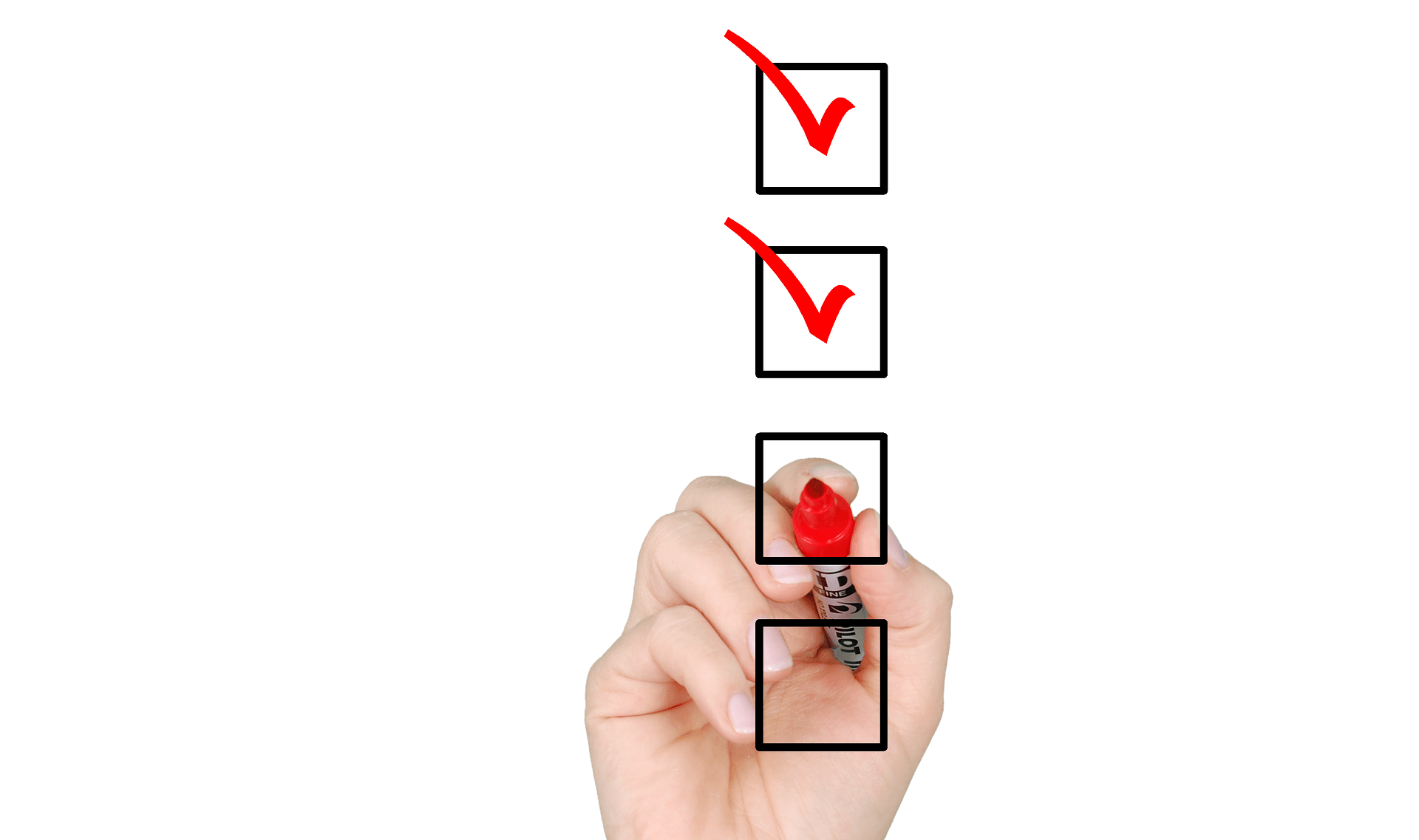 sondaggio, censimento, checklist