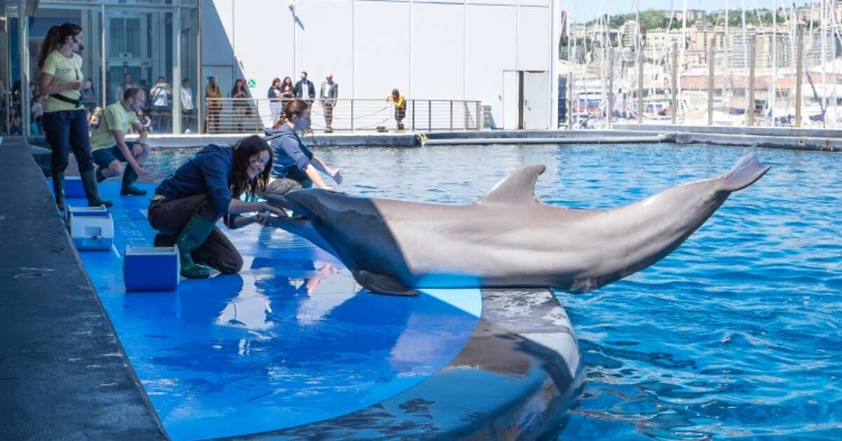 acquario di genova