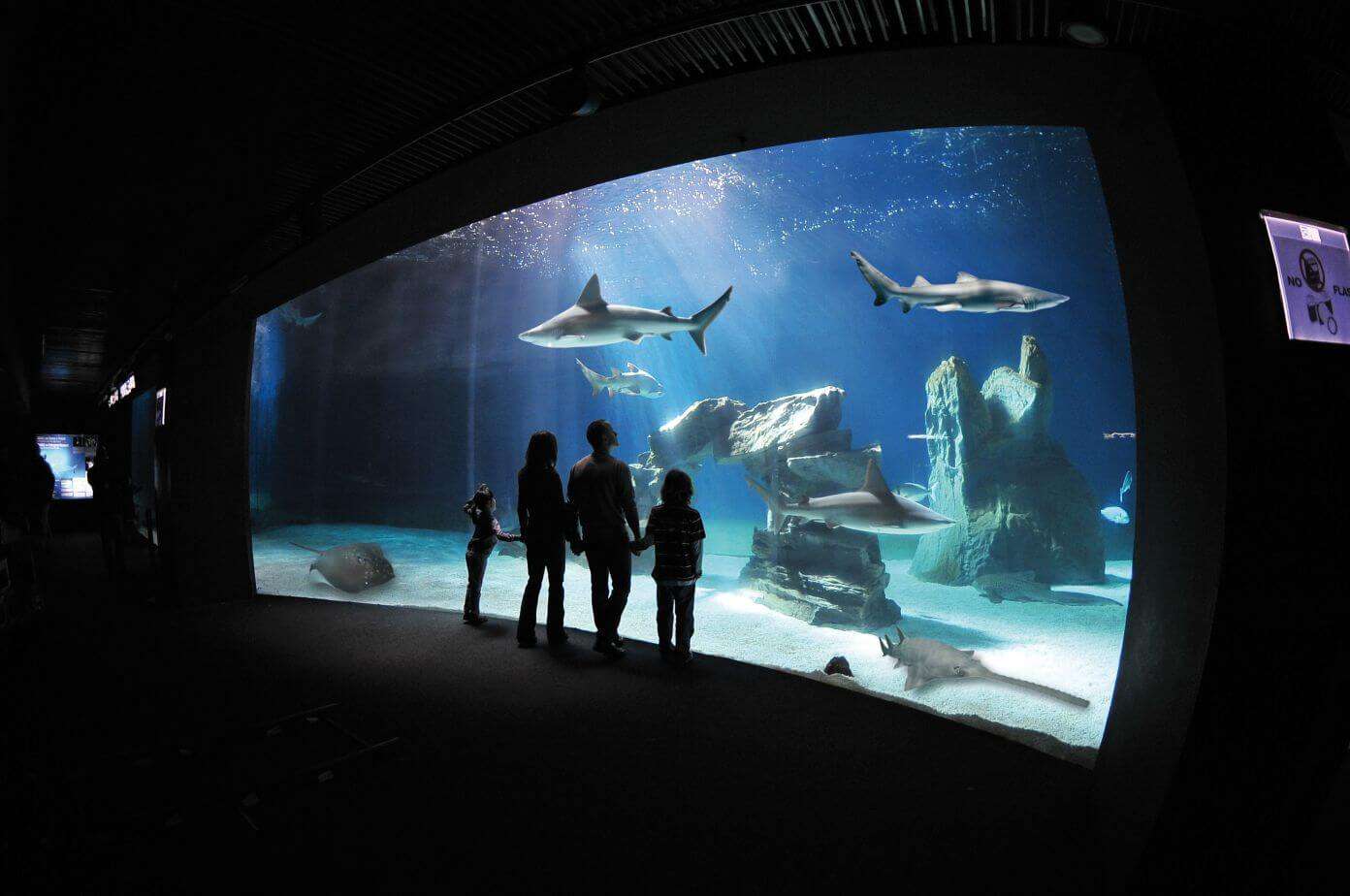 acquario di ge