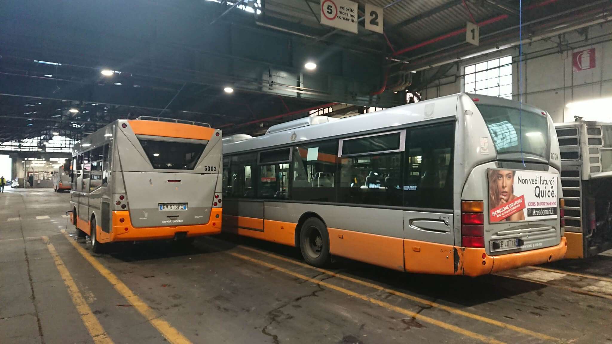 amt deposito