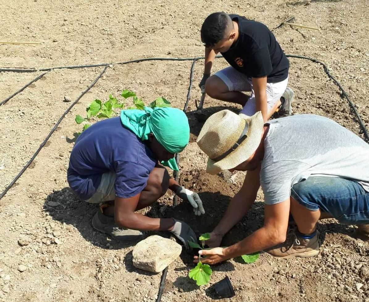 Il progetto vincitore ORTI-CULTURE