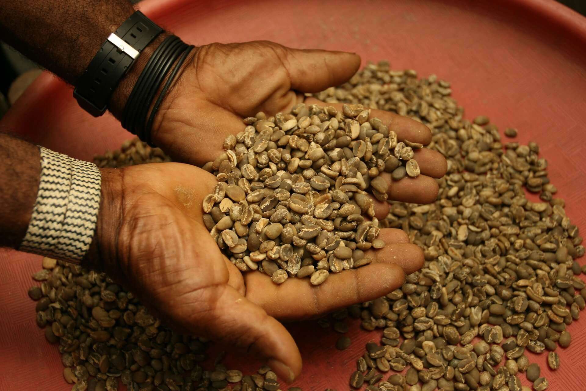 agricoltura caffè straniero