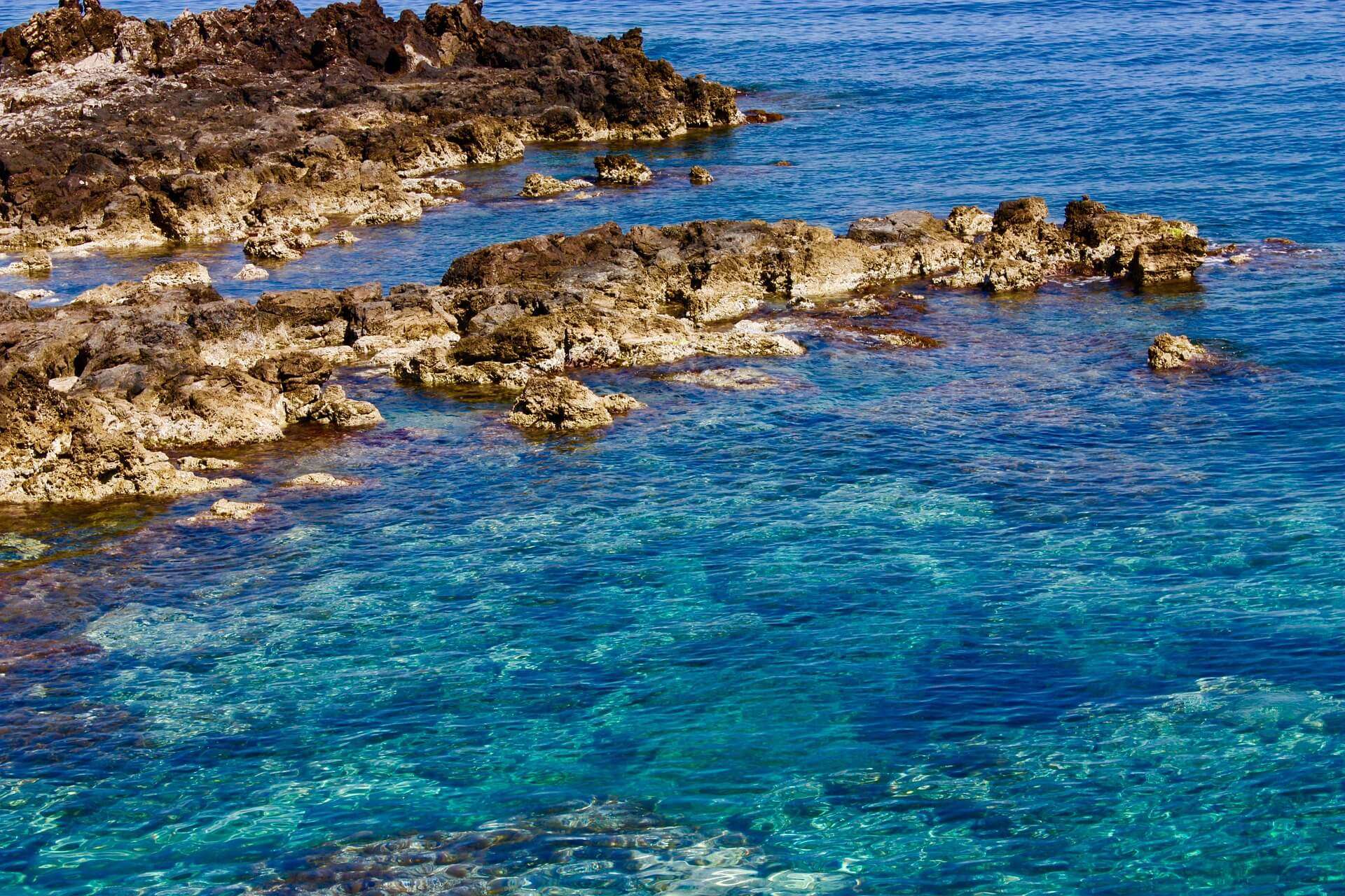 mar mediterraneo ambiente