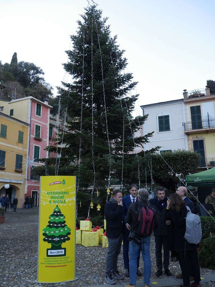 Albero di Natale donato al comune di Portofino