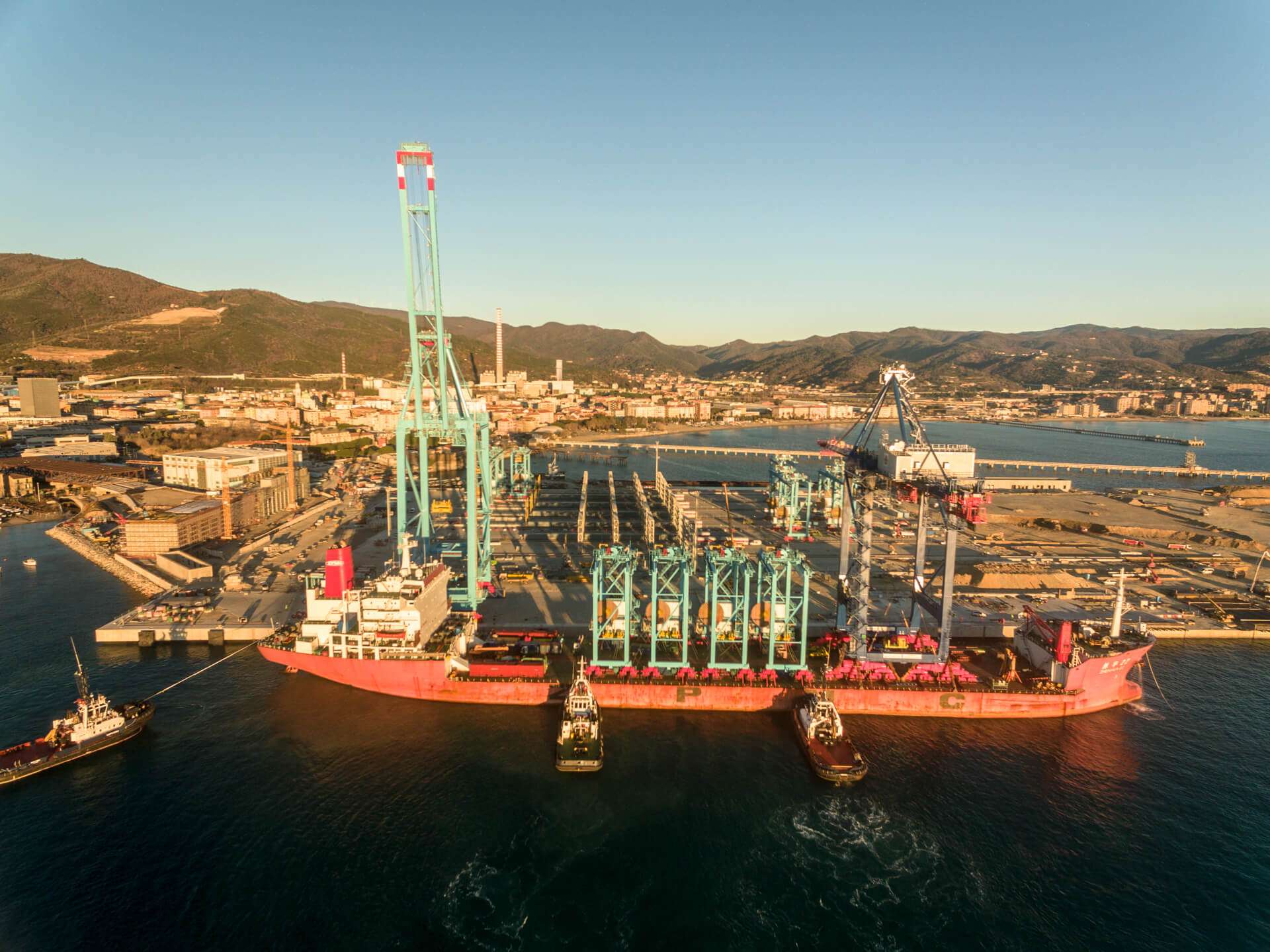 APM Terminals Vado Ligure 29 gennaio – ARMG (3)