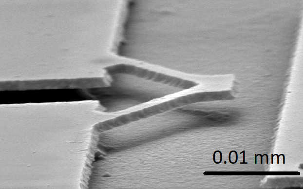 Struttura_microelettromeccanica_ realizzata_con_un_ossido_di_metallo_di_transizione