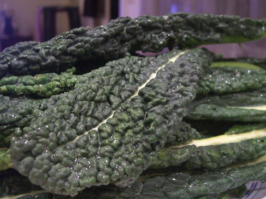 cavolo nero