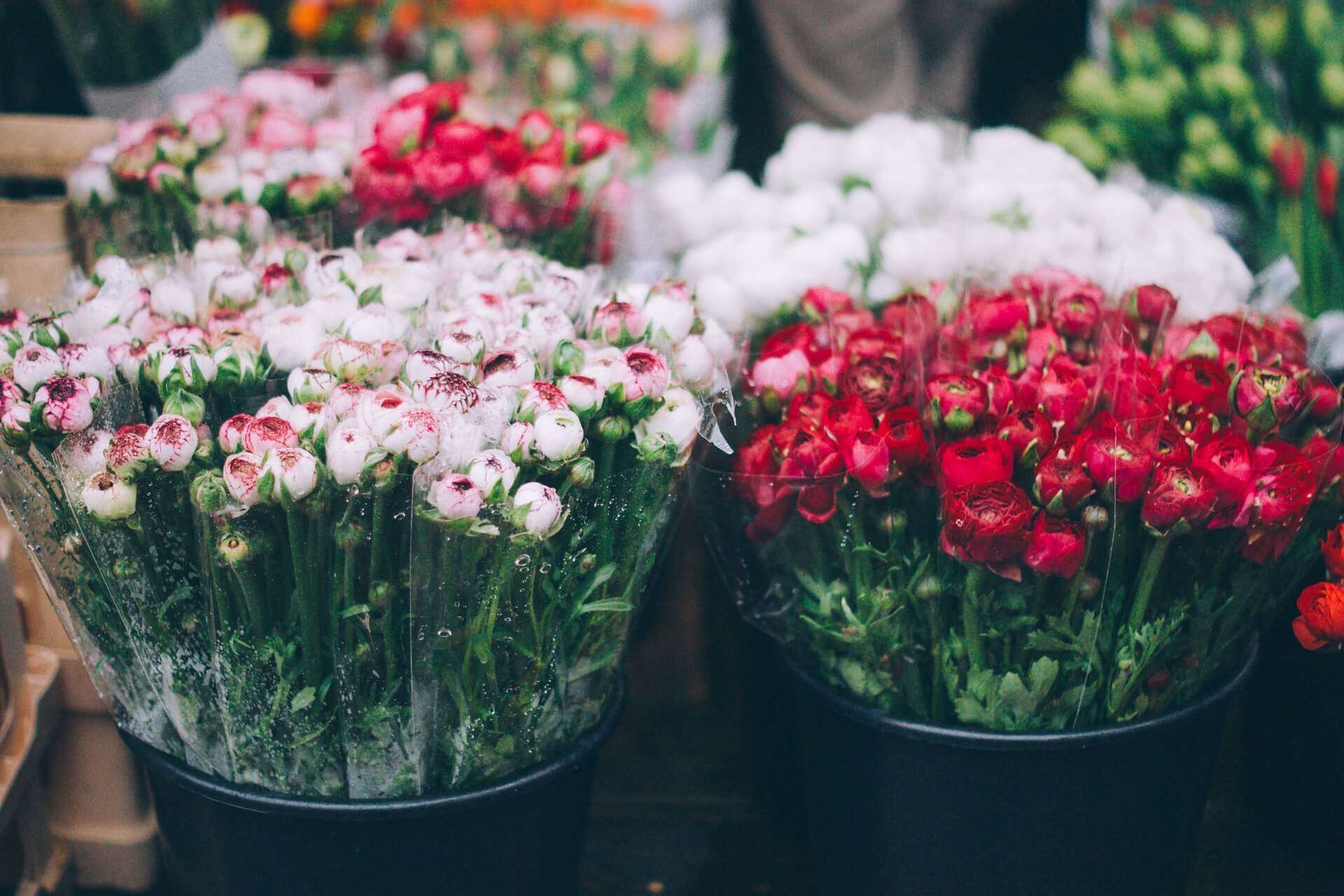 fiori mercato