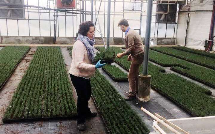 azienda agricola sociale