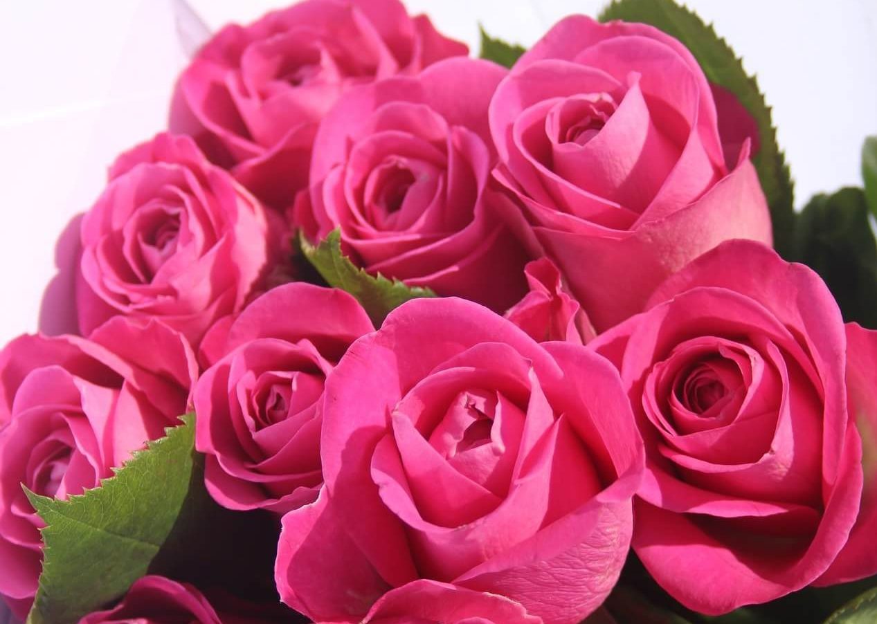 mazzo rose san valentino
