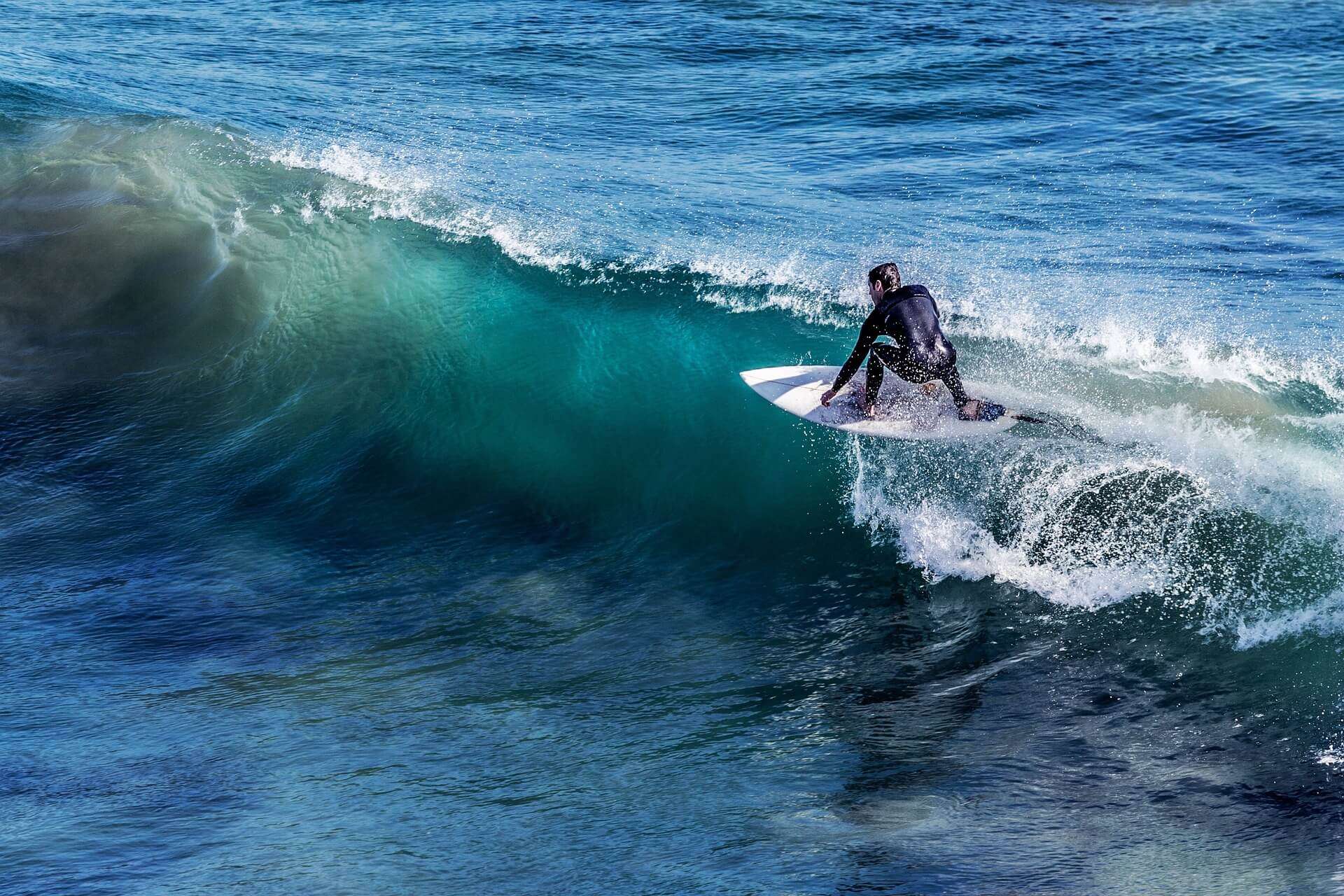 surf, surfing