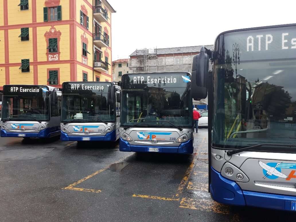Bus Portofino