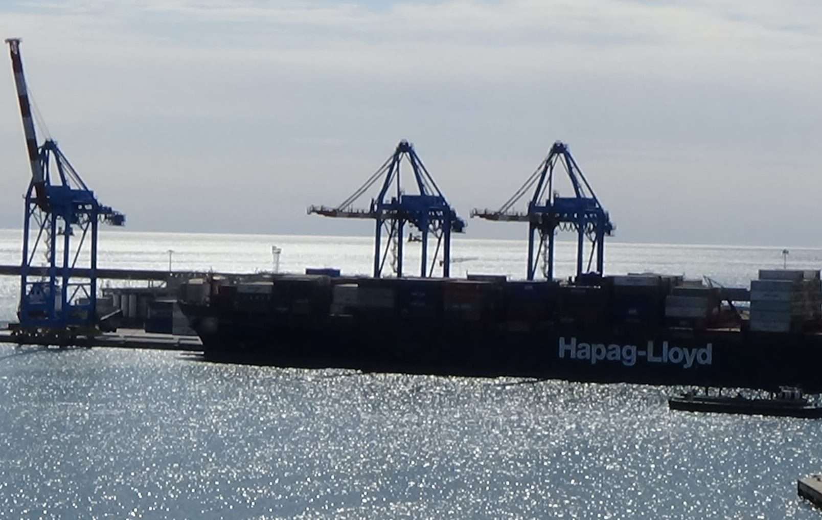 porto di genova terminal sech