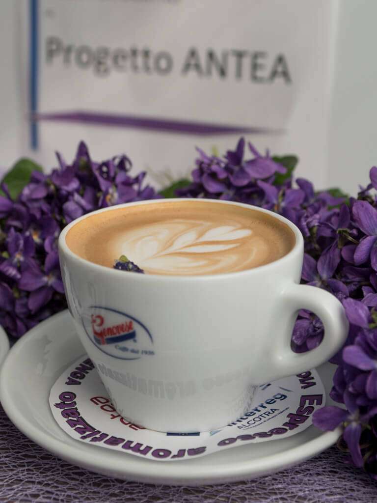 cappuccino con fiori eduli