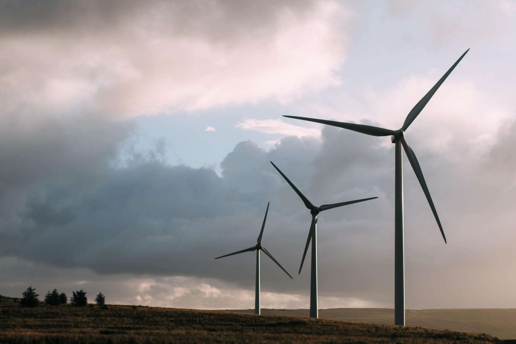 energia eolica parco eolico rinnovabili