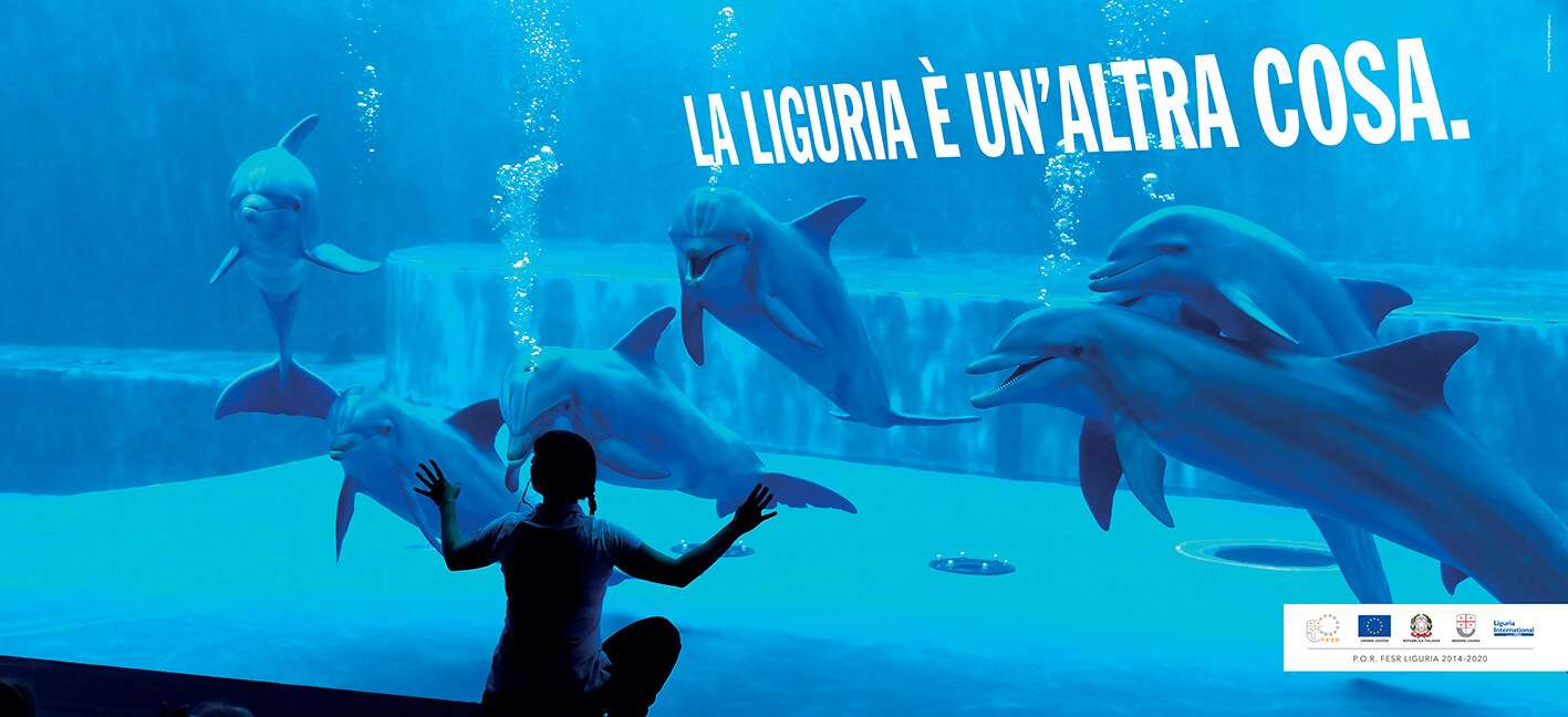 LLEUAC Malpensa P246 437,5×200.indd