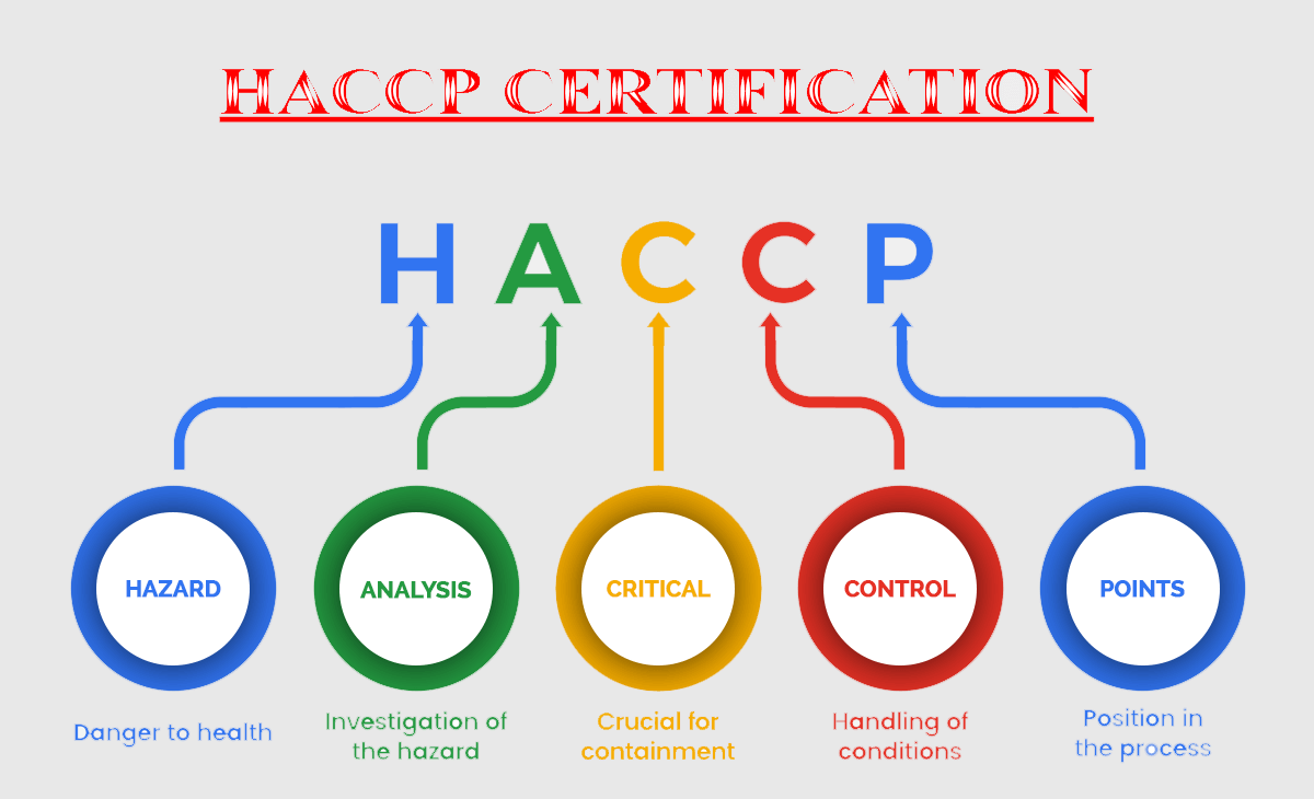 haccp certificato