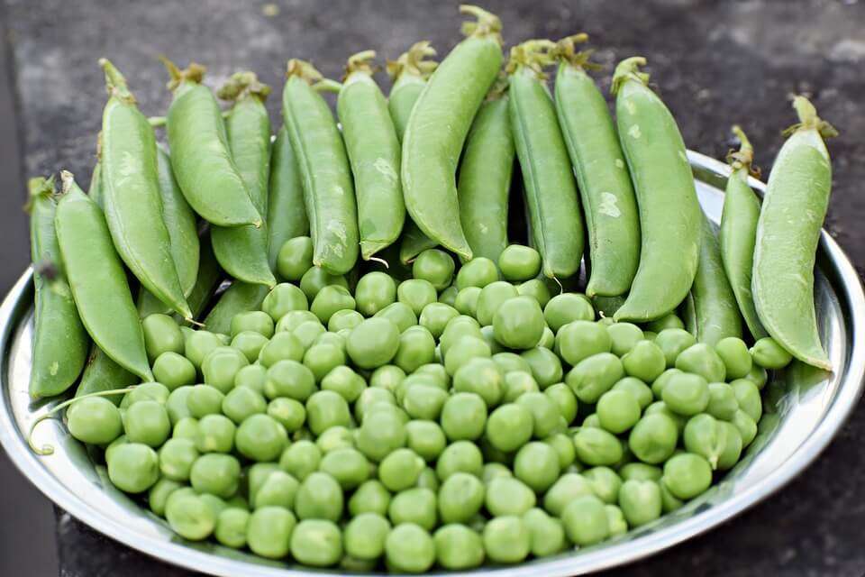 piselli