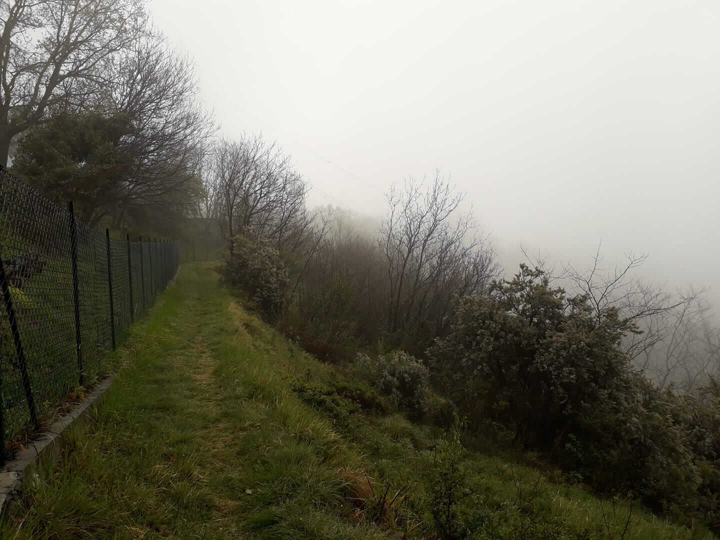 tempo uggioso, nebbia, pioggia, campagna