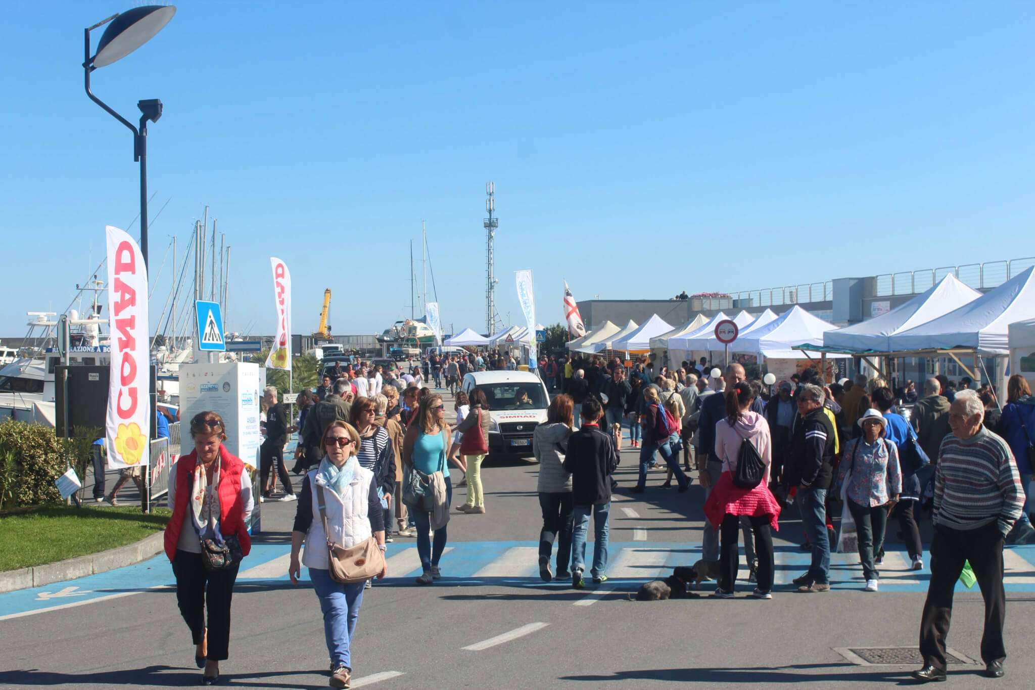 ANDORA_FIERA AZZURRO PESCE D’AUTORE