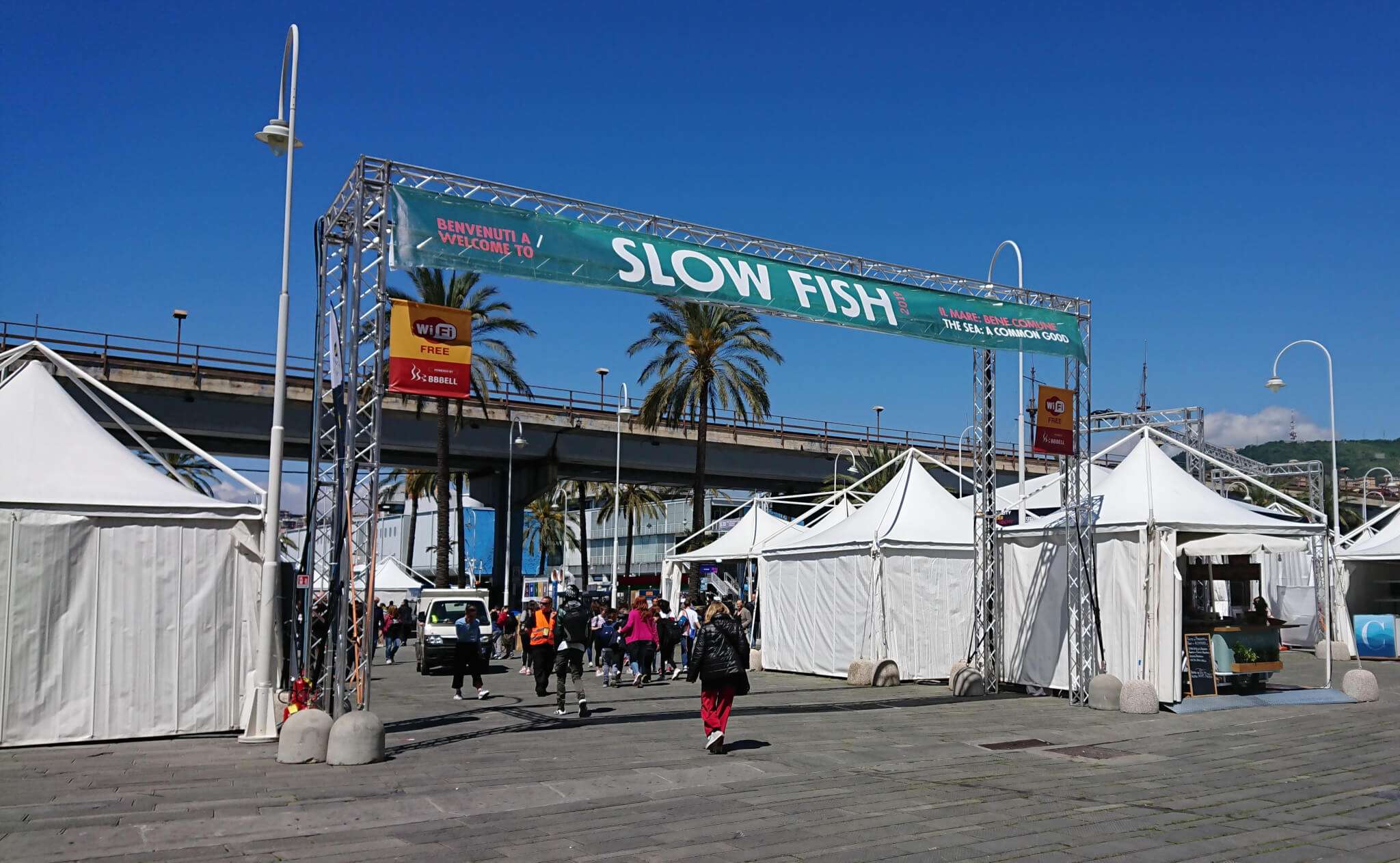 slow fish 2019